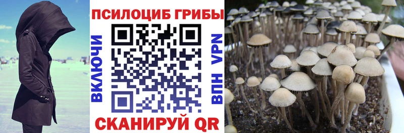 Галлюциногенные грибы ЛСД  darknet официальный сайт  Котлас  MEGA ссылка 